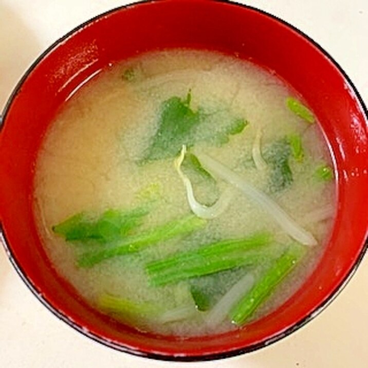 小松菜ともやしとわかめの味噌汁